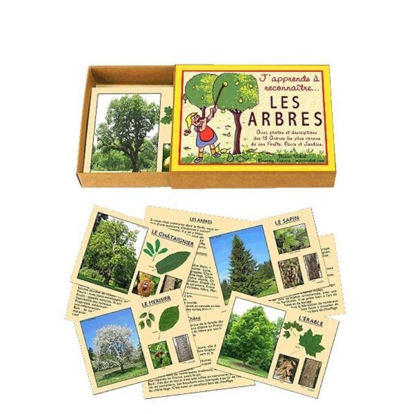 J'apprends à reconnaître les arbres