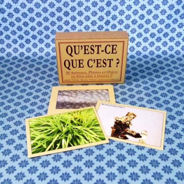 Qu'est-ce que c'est ?