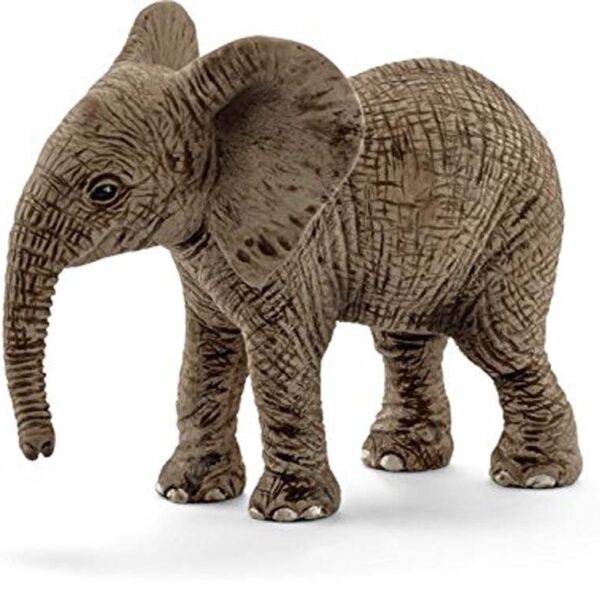 Eléphanteau d'Afrique - Wild Life