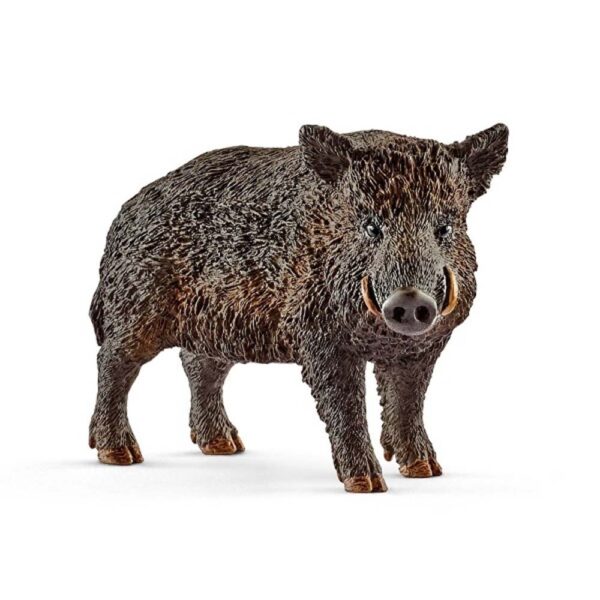 Sanglier - Wild Life