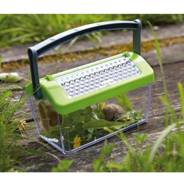 Terra Kids - Boîte à insectes